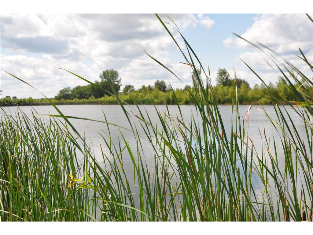 1309 20th Avenue S Sartell MN 56377 6810902 image2