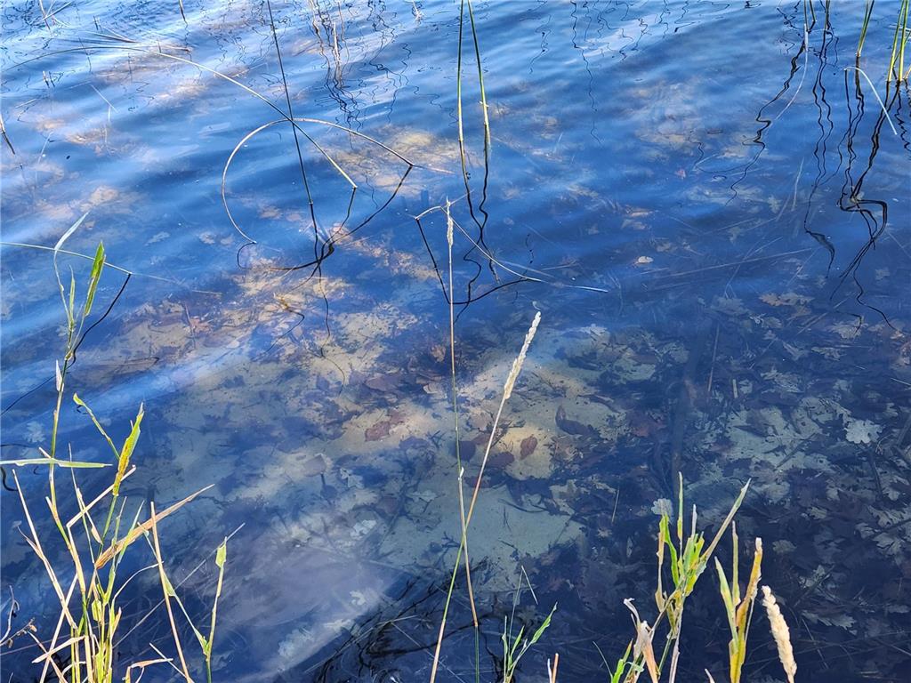 13098 63rd Avenue NW Cass Lake MN 56633 - Portage 6809541 image17