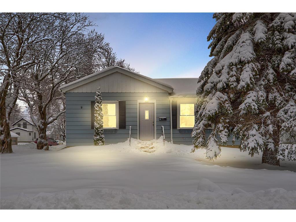 131 3rd Street, Kenyon, MN, 55946 MLS 6321273 Edina Realty