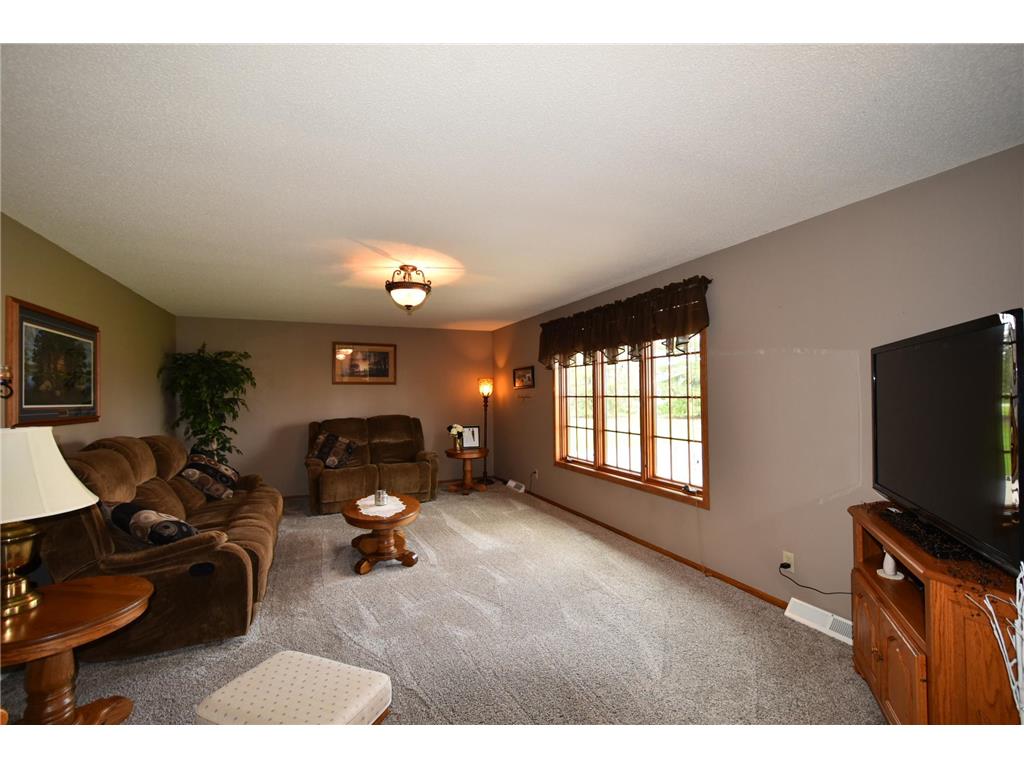 131 Walnut Zumbrota MN 55992 7071650 image9