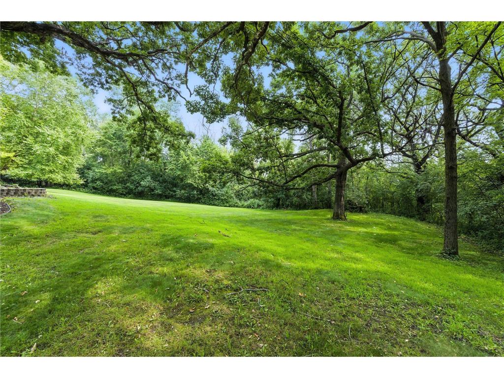 1310 Deerwood Drive Eagan MN 55123 6709547 image33