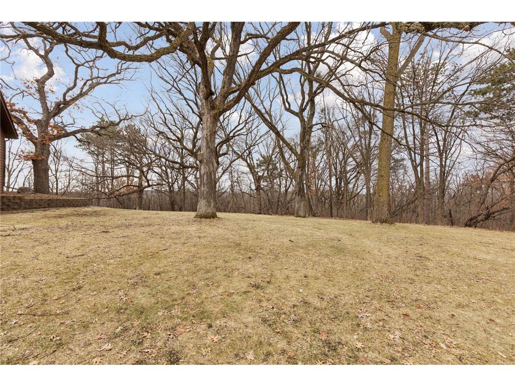 1310 Deerwood Drive Eagan MN 55123 6709547 image42
