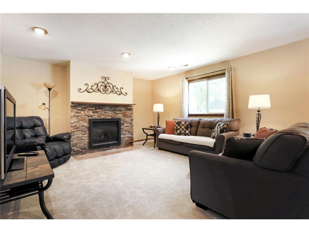 13112 Jenkins Street NE Blaine MN 55449 7083828 image25