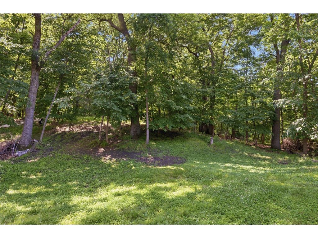 13117 Bayview Road Fair Haven Twp MN 55382 - Clearwater 7103924 image21