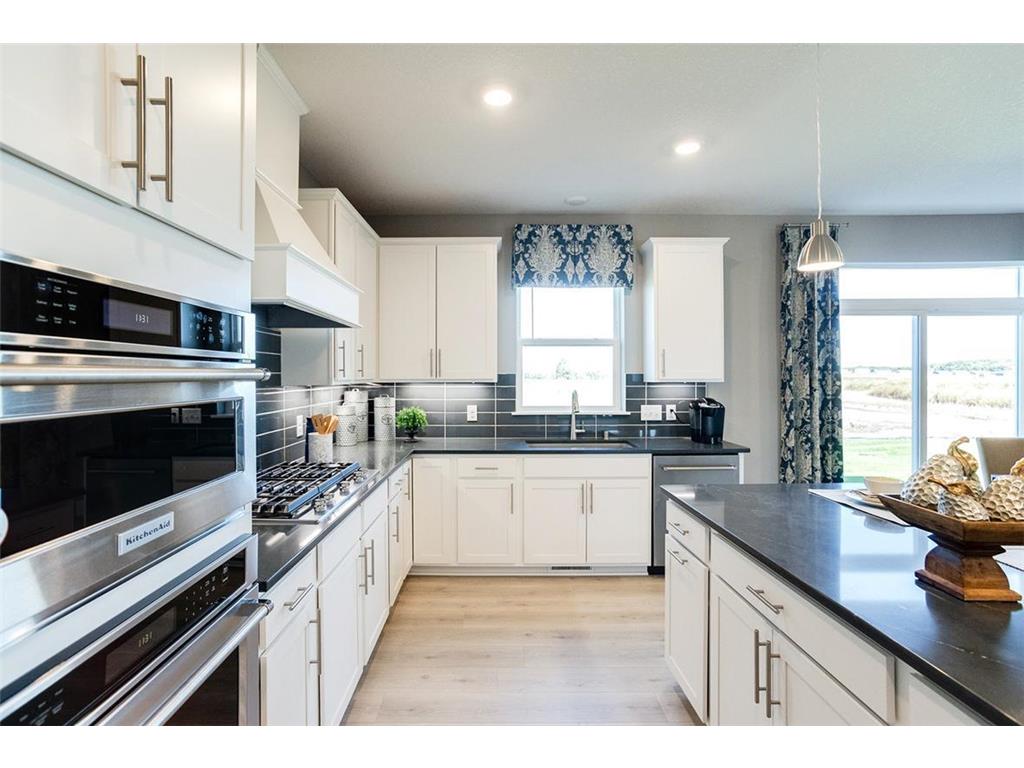 13119 Arbor Path Rosemount MN 55068 6427690 image1