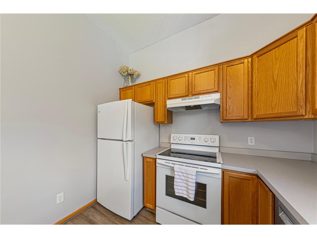 1313 Constitutional Drive Northfield MN 55057 7038410 image15