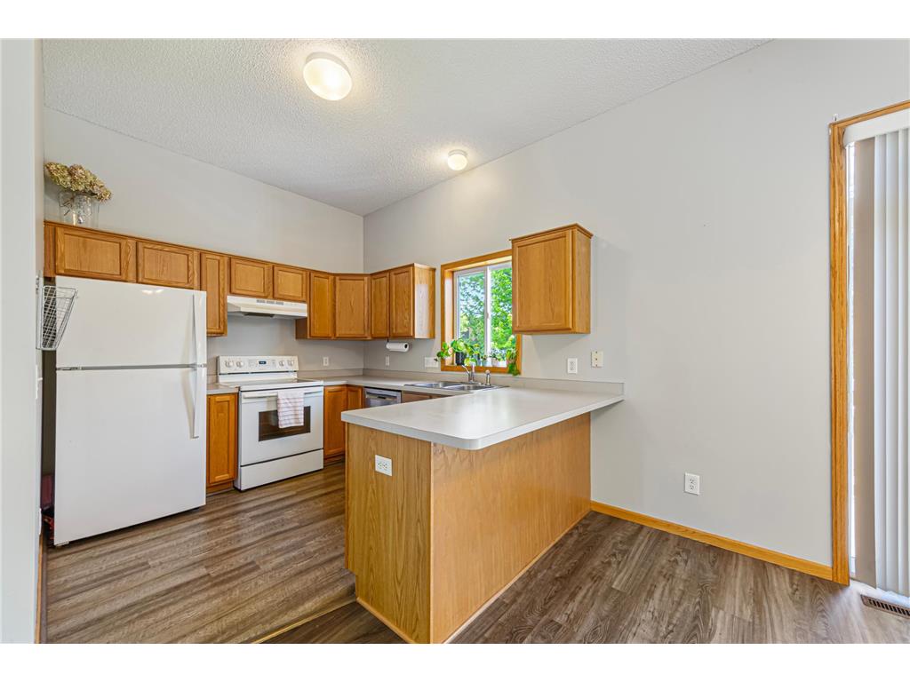 1313 Constitutional Drive Northfield MN 55057 7038410 image9