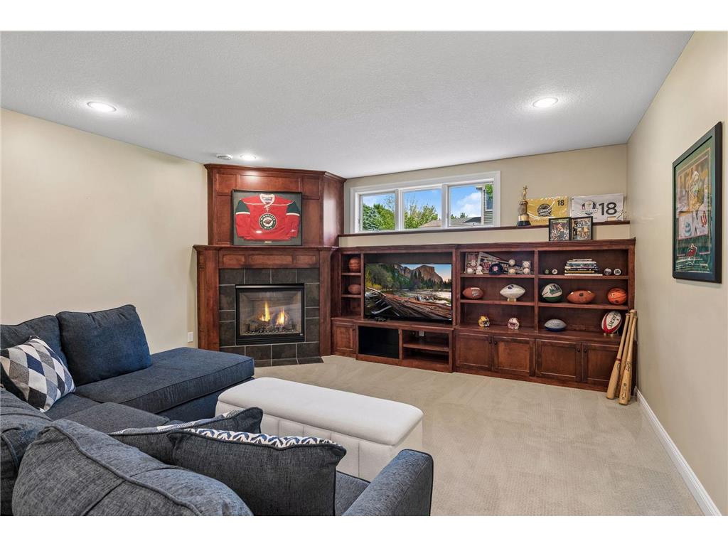 13134 Danube Lane Rosemount MN 55068 7080624 image65