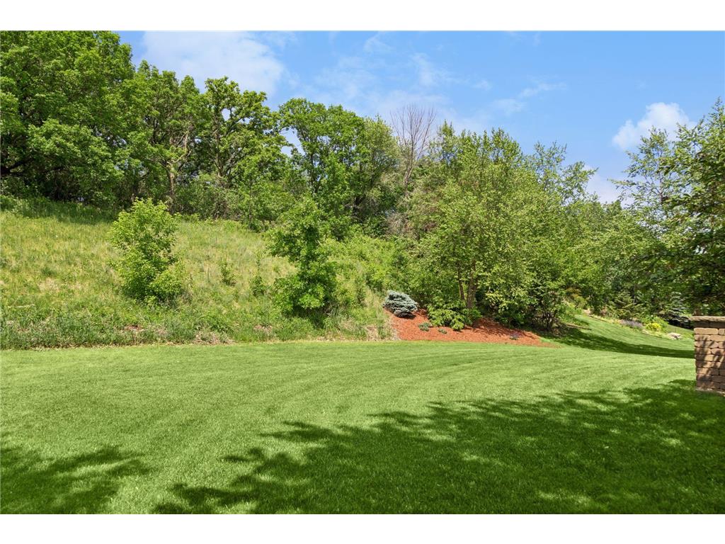 13134 Danube Lane Rosemount MN 55068 7080624 image76