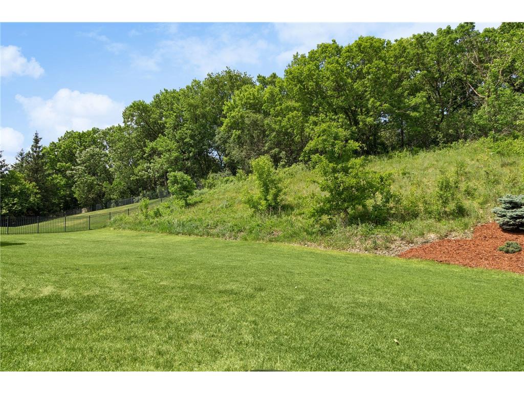 13134 Danube Lane Rosemount MN 55068 7080624 image77