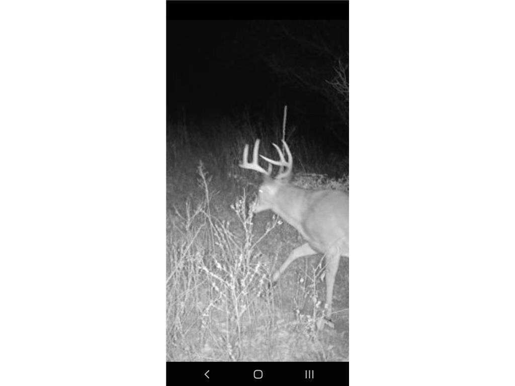 1314 130th Avenue New Richmond WI 54017 6658016 image20