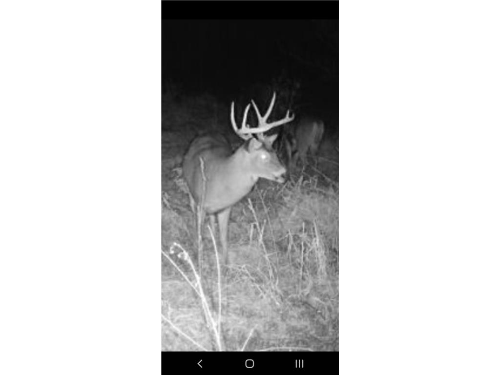 1314 130th Avenue New Richmond WI 54017 6658016 image21