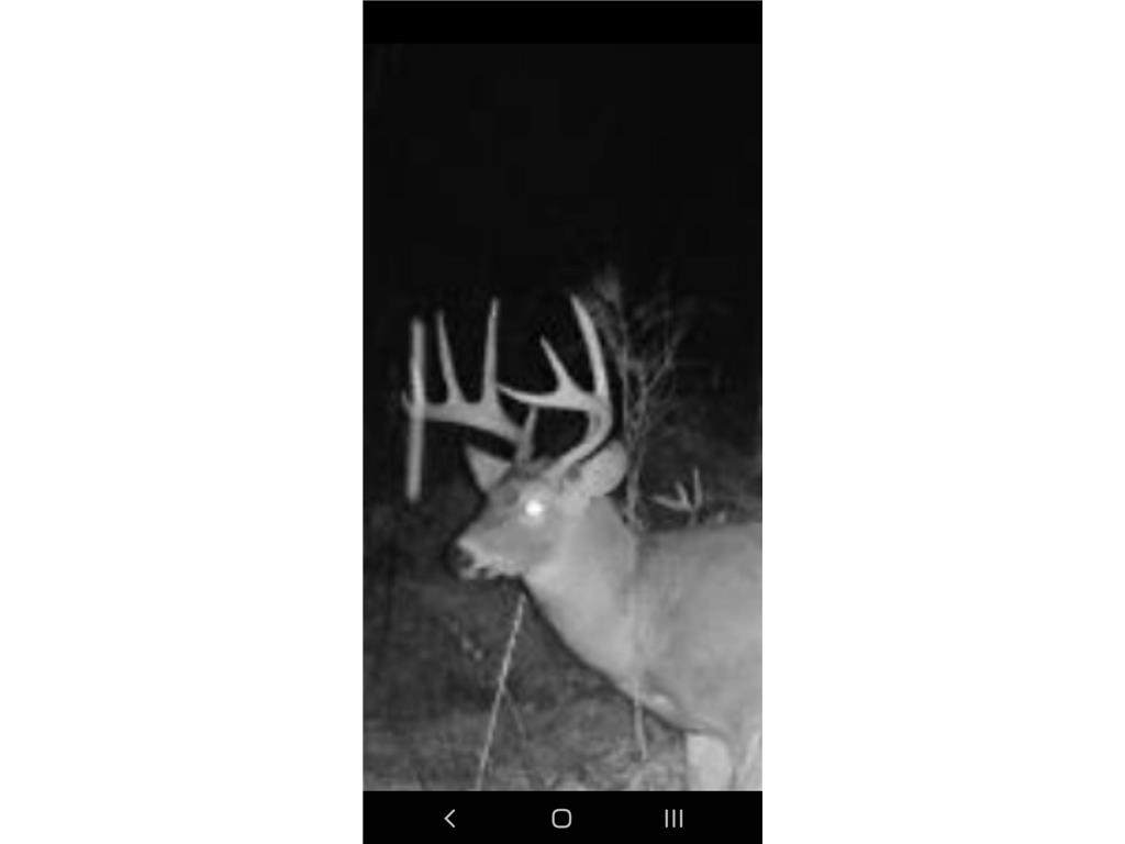 1314 130th Avenue New Richmond WI 54017 6658016 image22