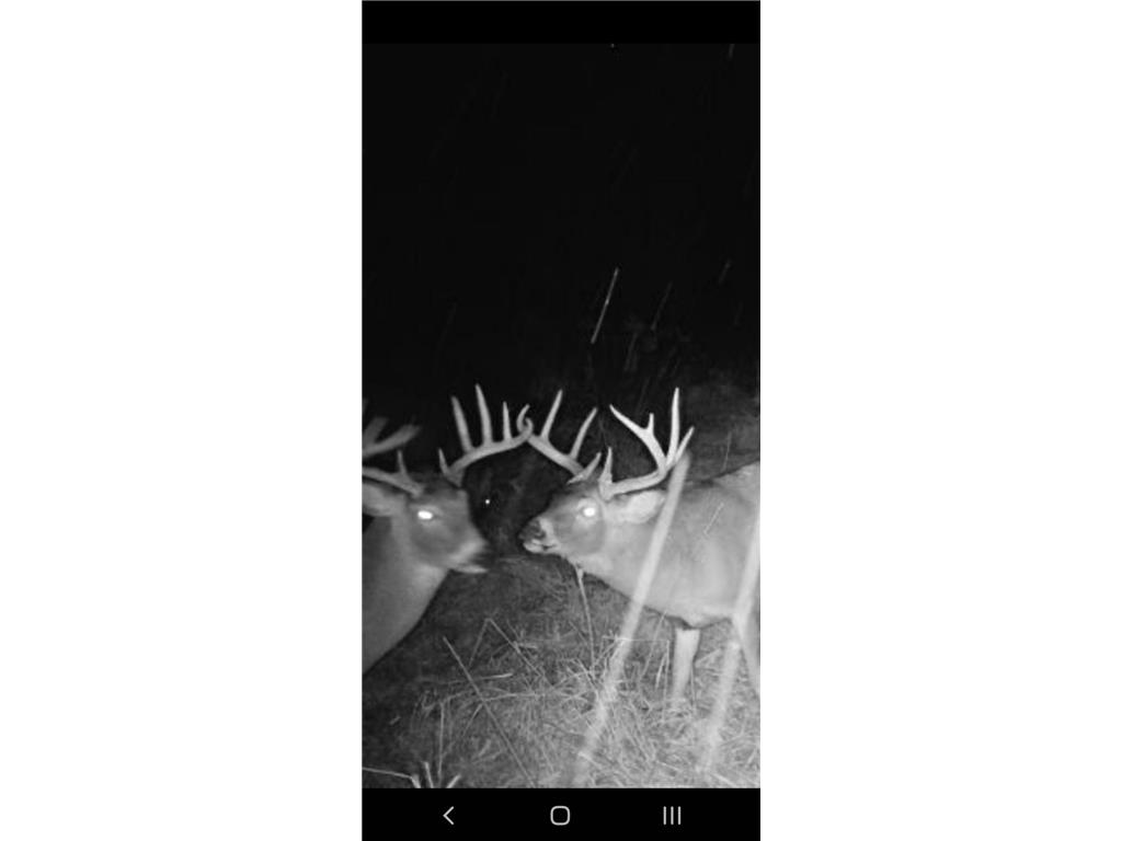 1314 130th Avenue New Richmond WI 54017 6658016 image23