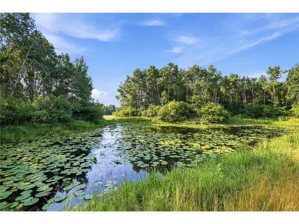 13143 293rd Avenue Baldwin Twp MN 55371 7099233 image34