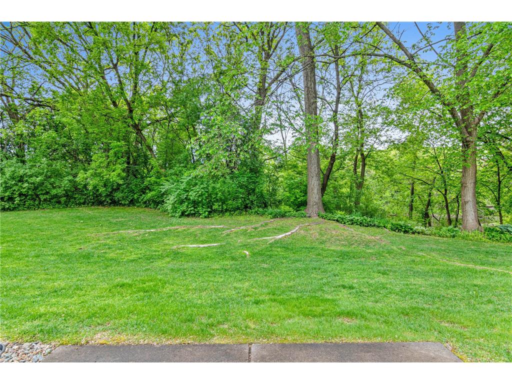 13145 Gemstone Court Apple Valley MN 55124 7059360 image30