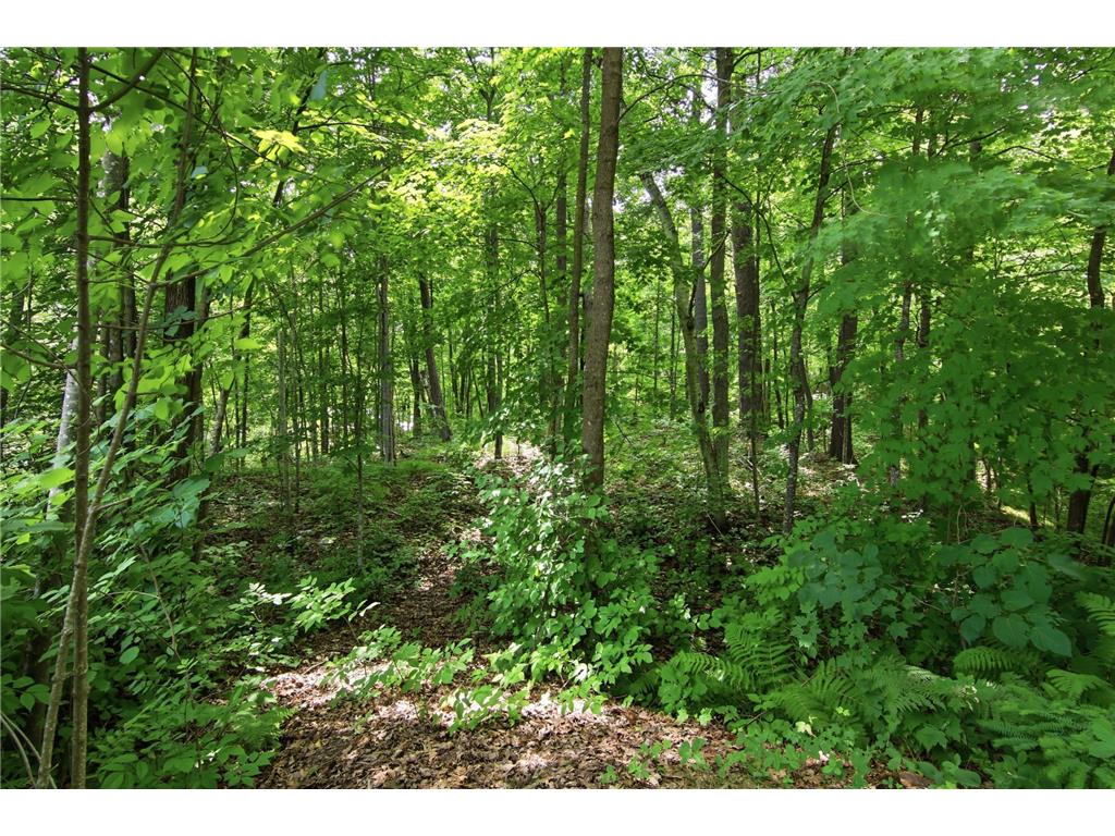 1314N County Hwy F Edgewater WI 54817 - Lake Chetac 7114992 image31