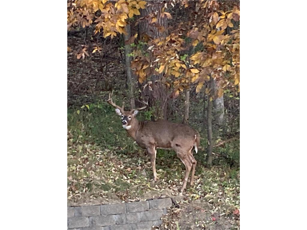 1315 49th Avenue Goodview MN 55987 7001563 image36