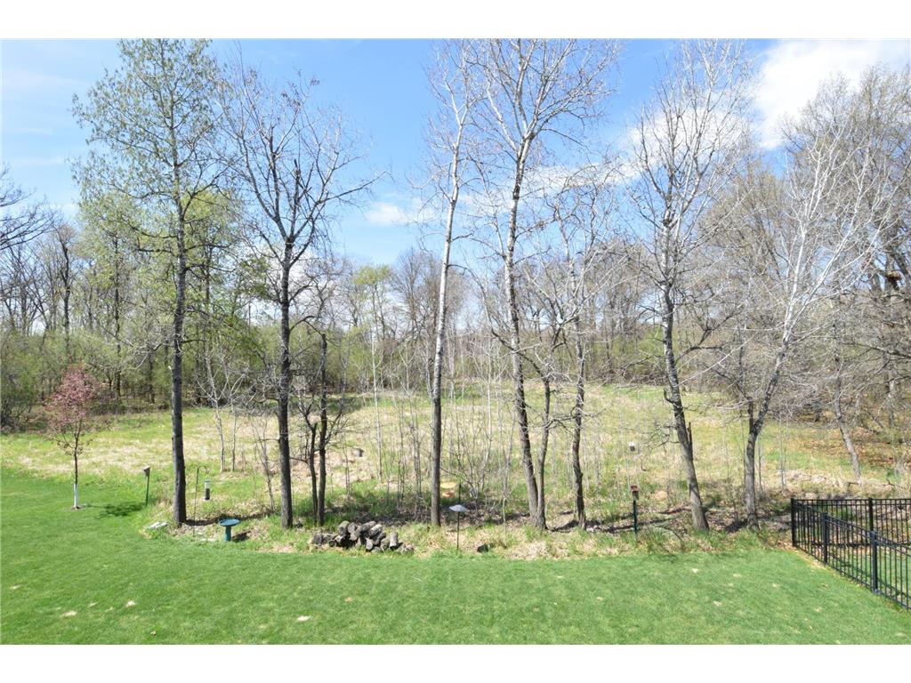 13158 Coral Sea Court NE Blaine MN 55449 7063134 image30