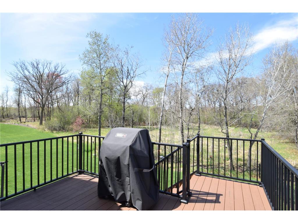13158 Coral Sea Court NE Blaine MN 55449 7063134 image31