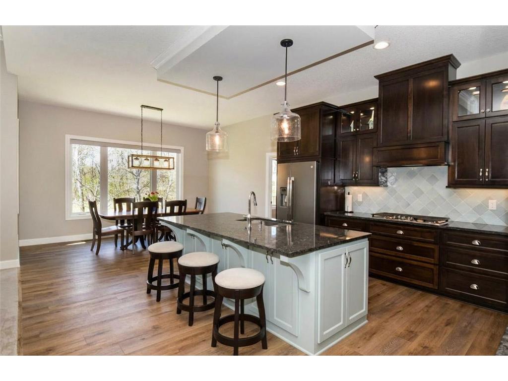 13158 Coral Sea Court NE Blaine MN 55449 7063134 image8