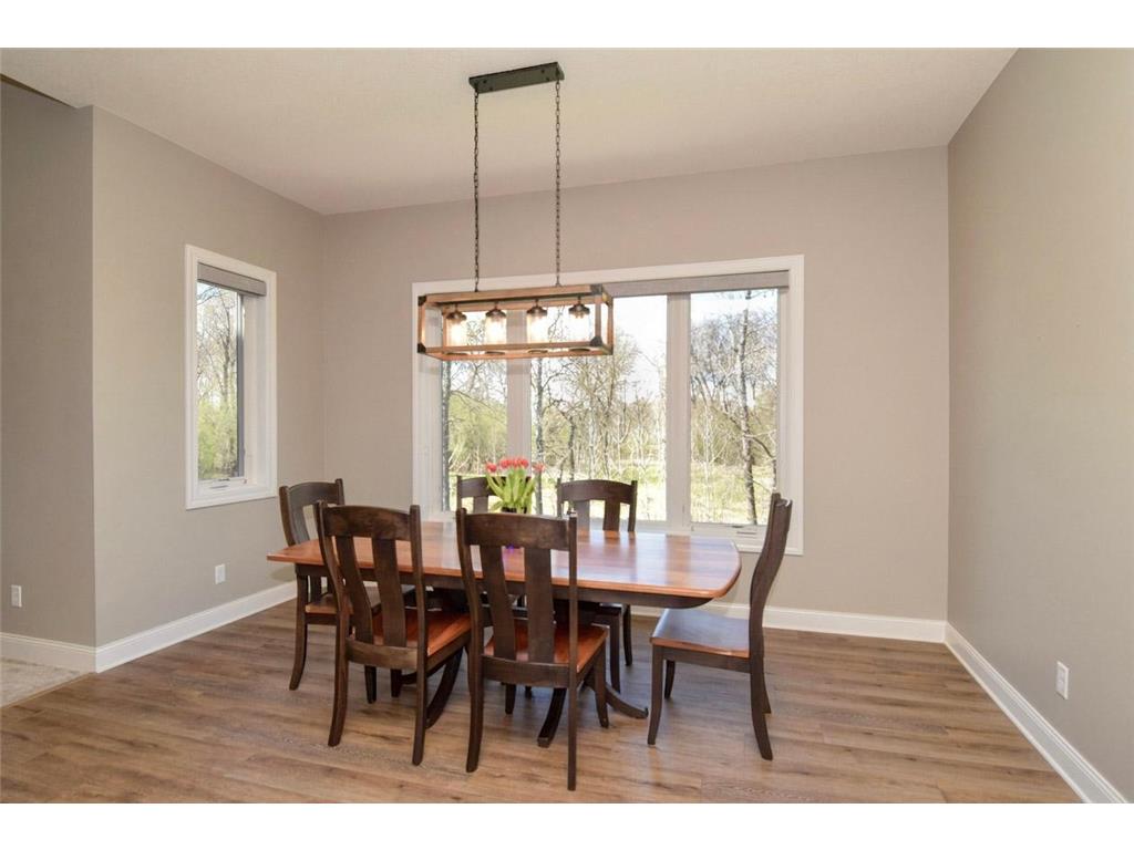 13158 Coral Sea Court NE Blaine MN 55449 7063134 image9