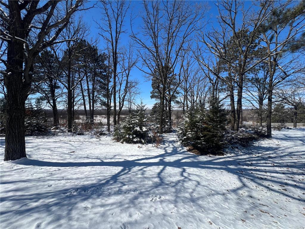 13160 176th Street Leaf River Twp MN 56482 7035823 image21