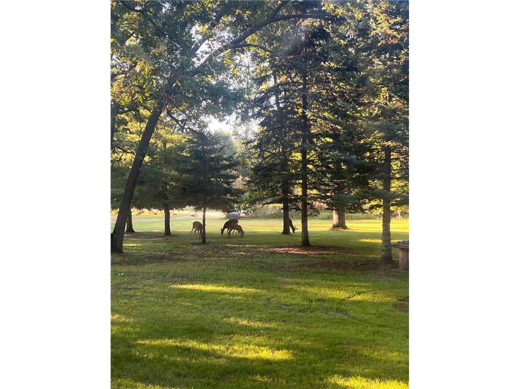 13160 176th Street Leaf River Twp MN 56482 7035823 image5