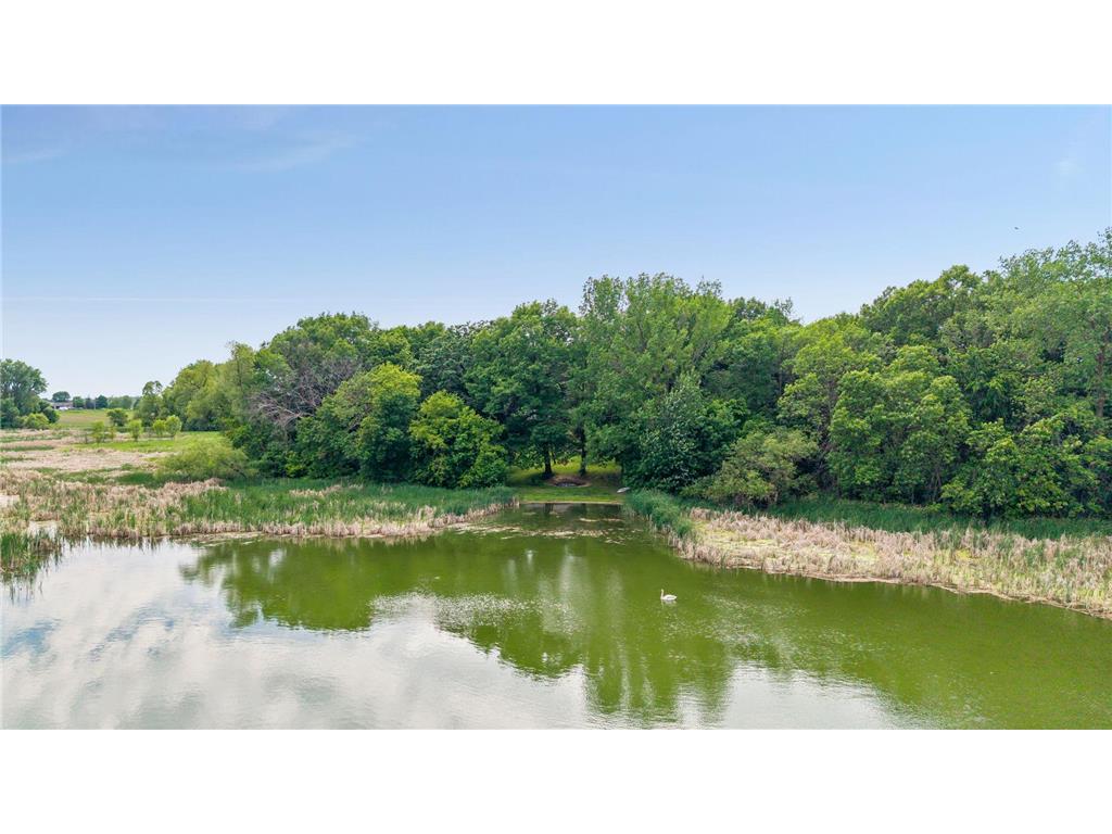 13160 Willandale Road Rogers MN 55374 - Cowley 7042537 image48