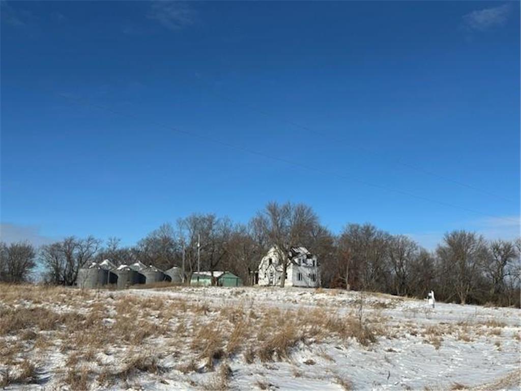 1317 195th Avenue N Freeland Twp MN 56220 6822212 image2