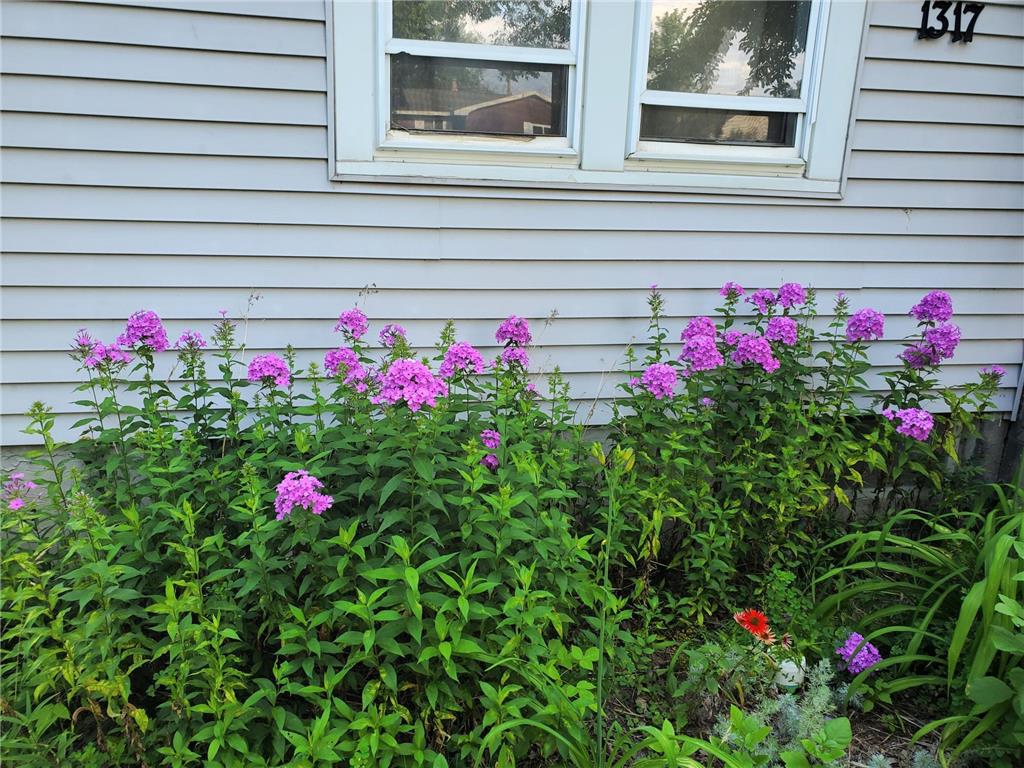 1317 America Avenue NW Bemidji MN 56601 7102983 image3