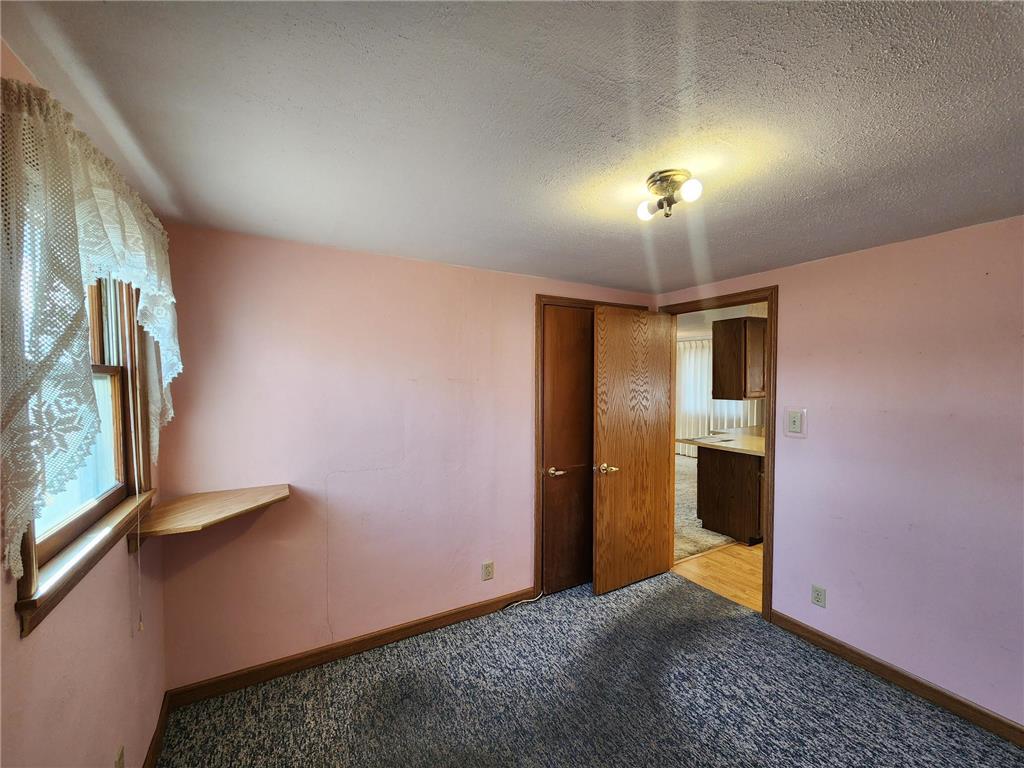 1317 Frank Avenue Albert Lea MN 56007 7040241 image20