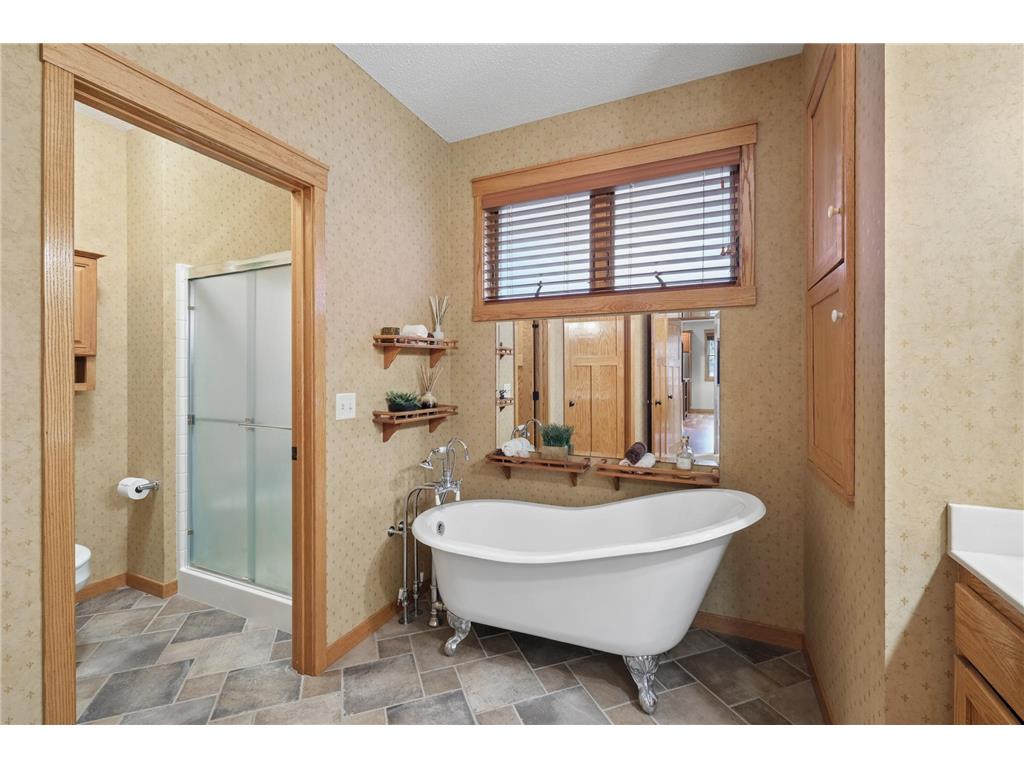 1317 Waters Path Woodbury MN 55129 7051715 image17