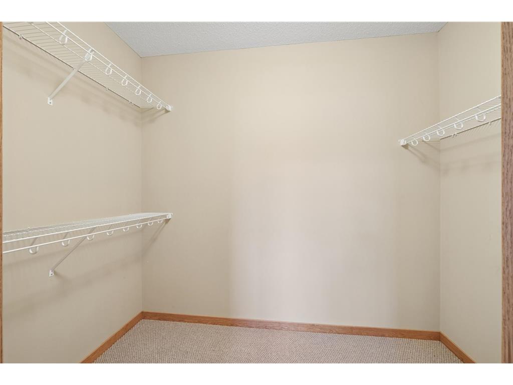 1317 Waters Path Woodbury MN 55129 7051715 image24