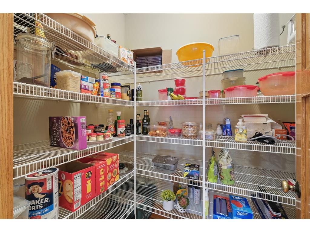 1317 Waters Path Woodbury MN 55129 7051715 image9