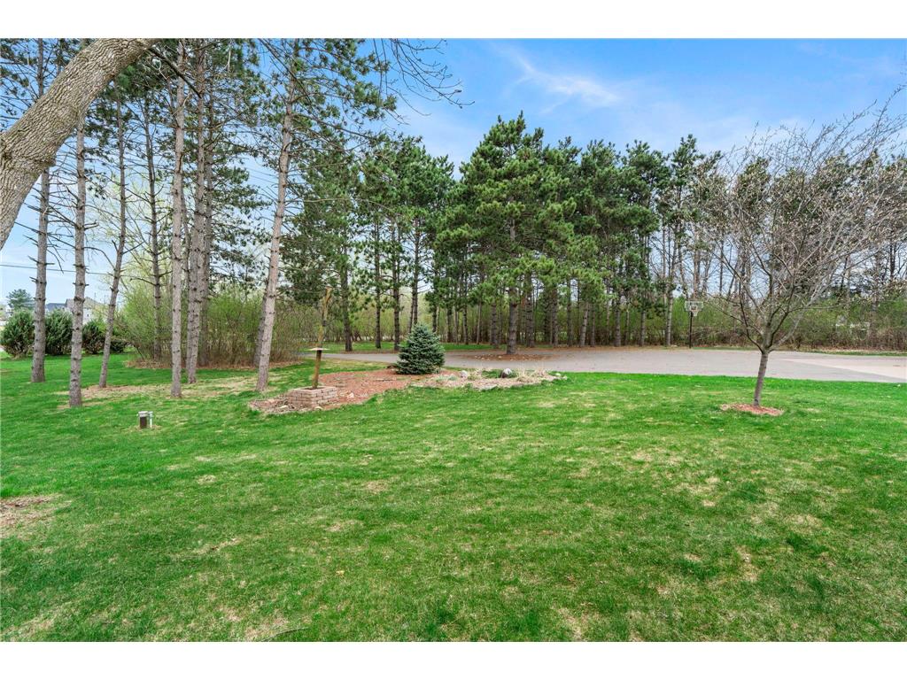 13175 Goodview Avenue N Hugo MN 55110 7013423 image4