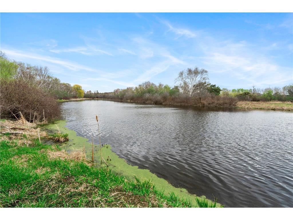 13175 Goodview Avenue N Hugo MN 55110 7013423 image66