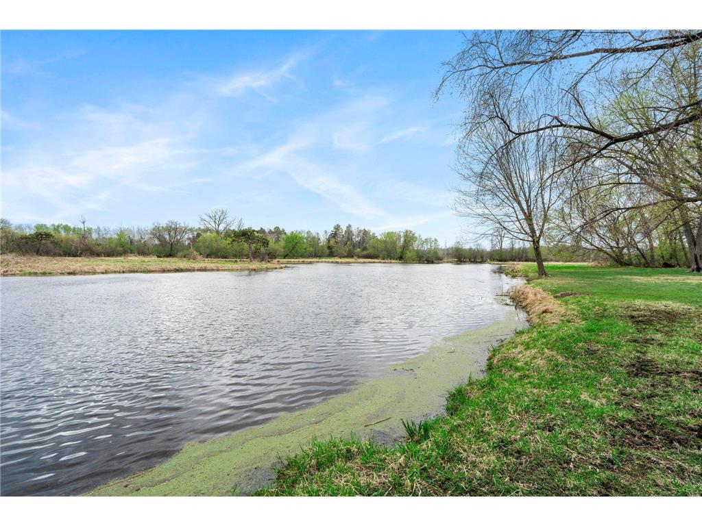13175 Goodview Avenue N Hugo MN 55110 7013423 image67