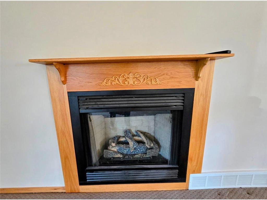 1318 161st Street Holland MN 56139 6818658 image30