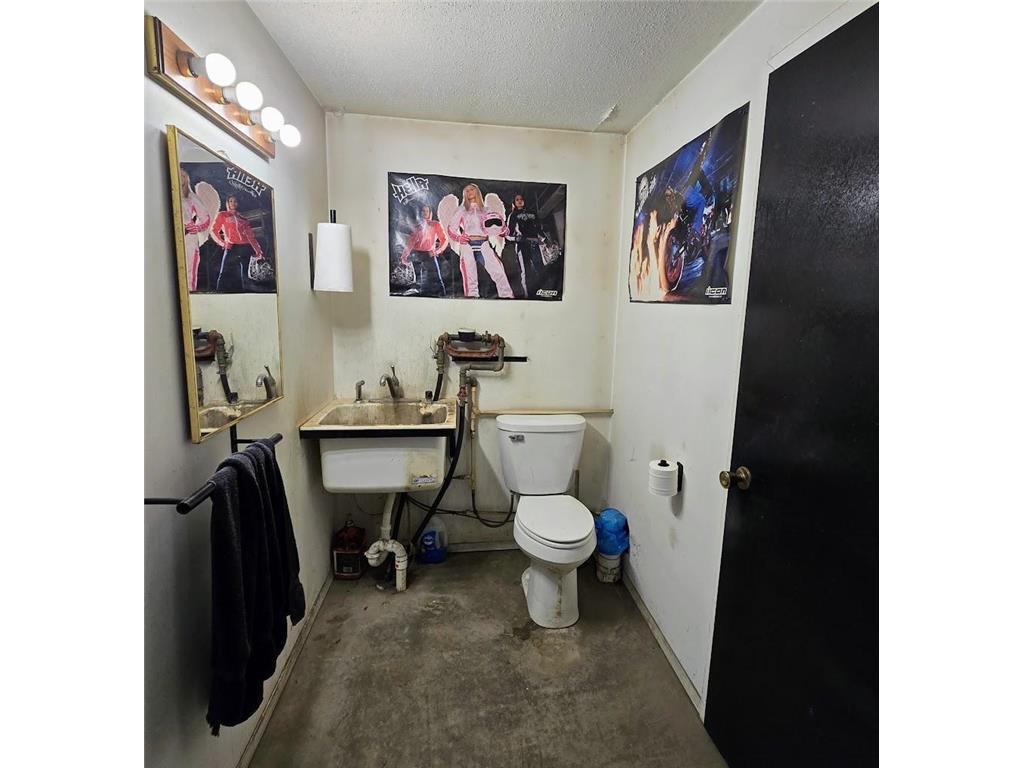 1318 161st Street Holland MN 56139 6818658 image59