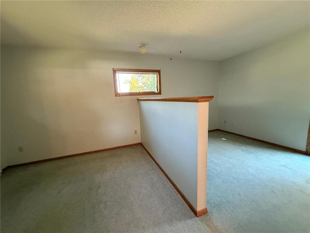 1318 W Chestnut Avenue Olivia MN 56277 6809899 image24