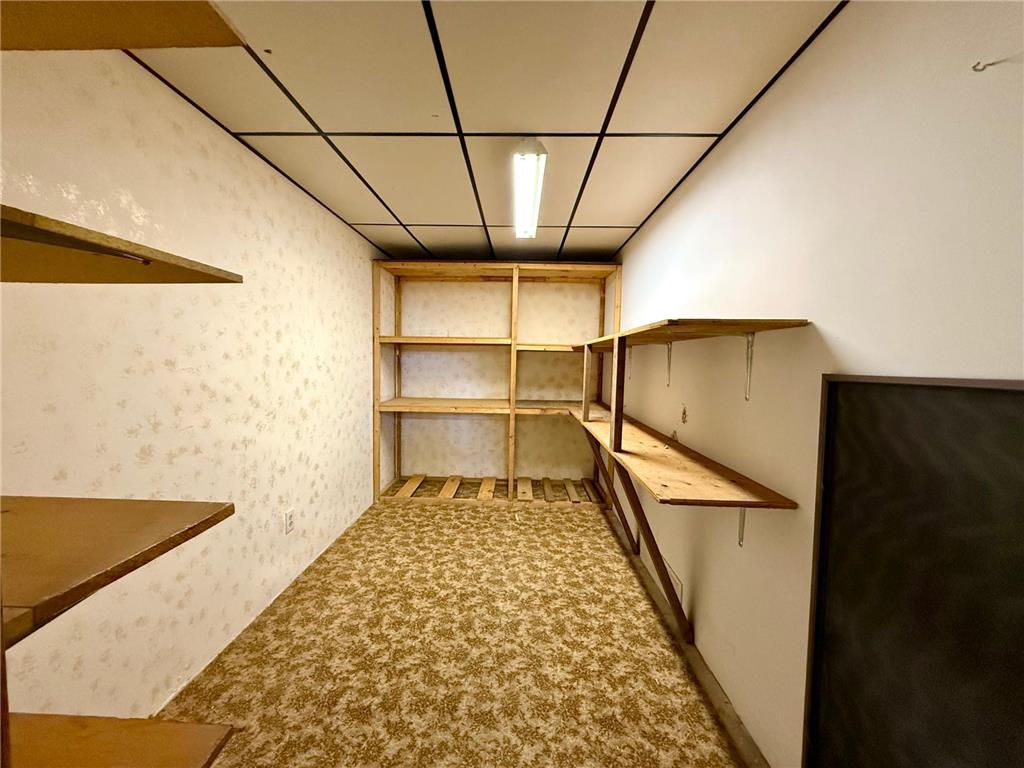 1318 W Chestnut Avenue Olivia MN 56277 6809899 image60