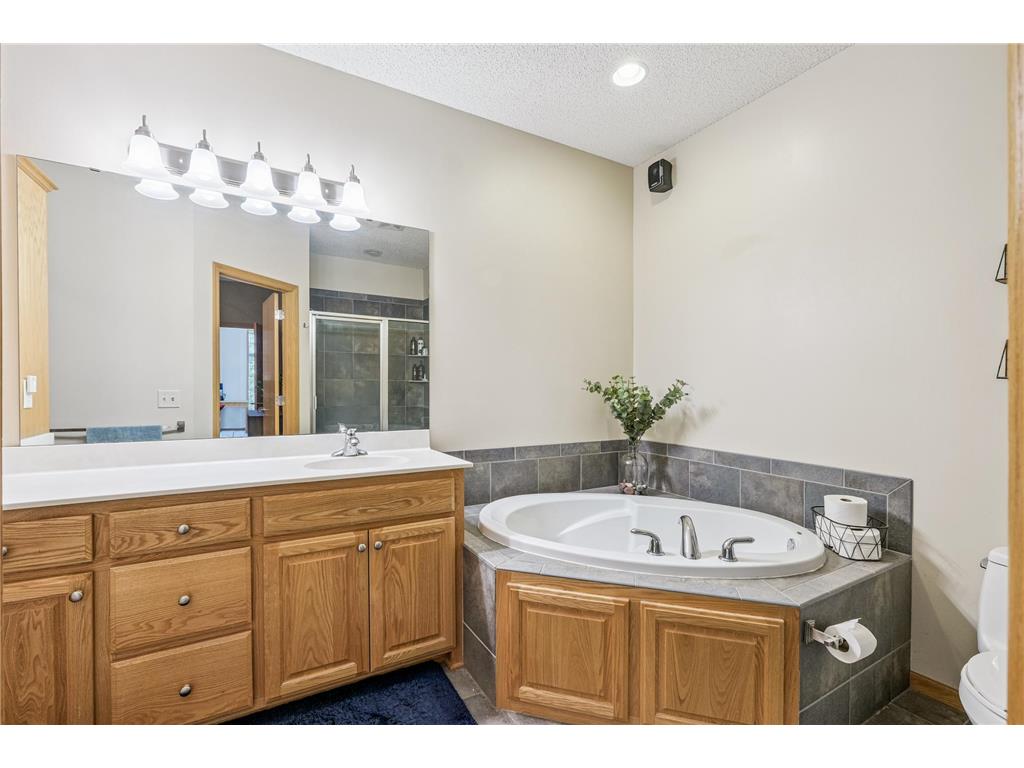 13186 Meadow Lane Savage MN 55378 7003947 image11