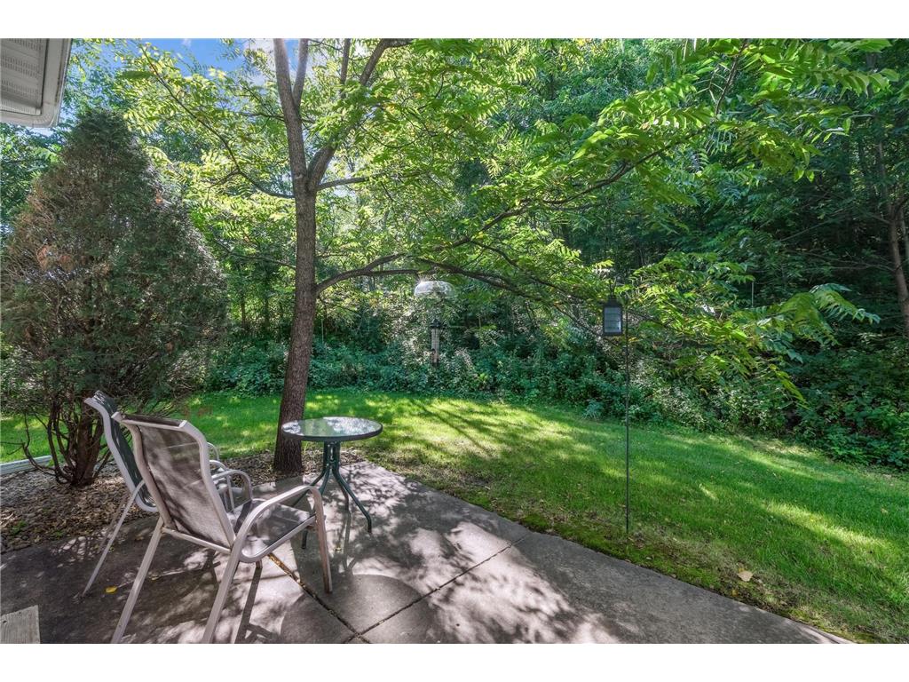 13186 Meadow Lane Savage MN 55378 7003947 image5