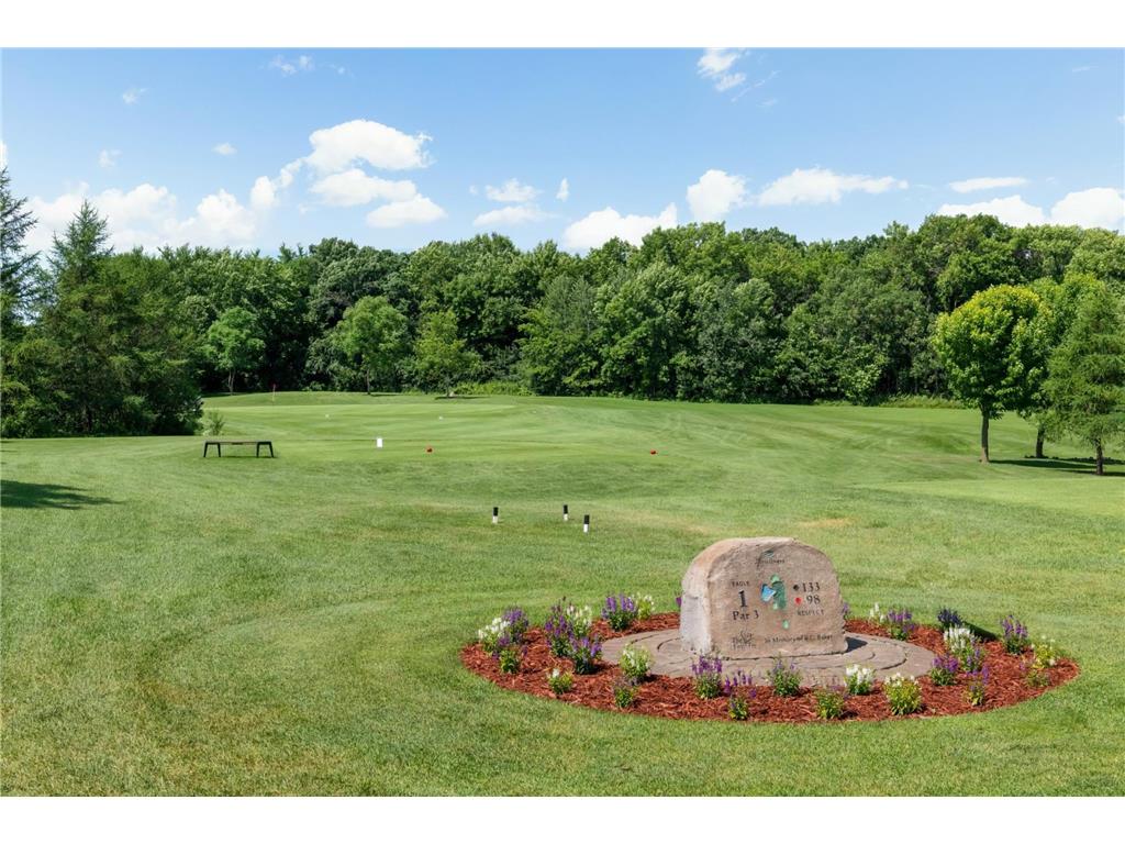 132 W Eagle Lake Drive Maple Grove MN 55369 - Eagle 7050339 image32