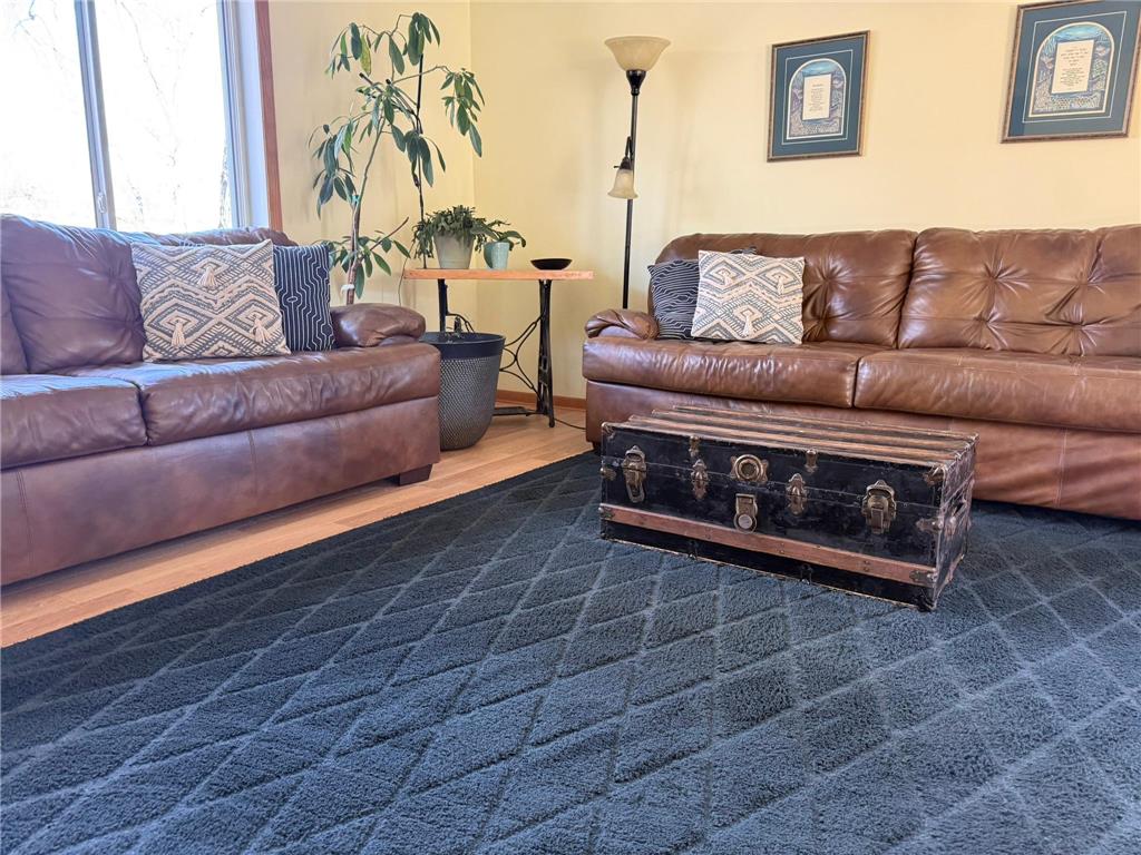 1320 Lori Avenue Detroit Lakes MN 56501 7070983 image10