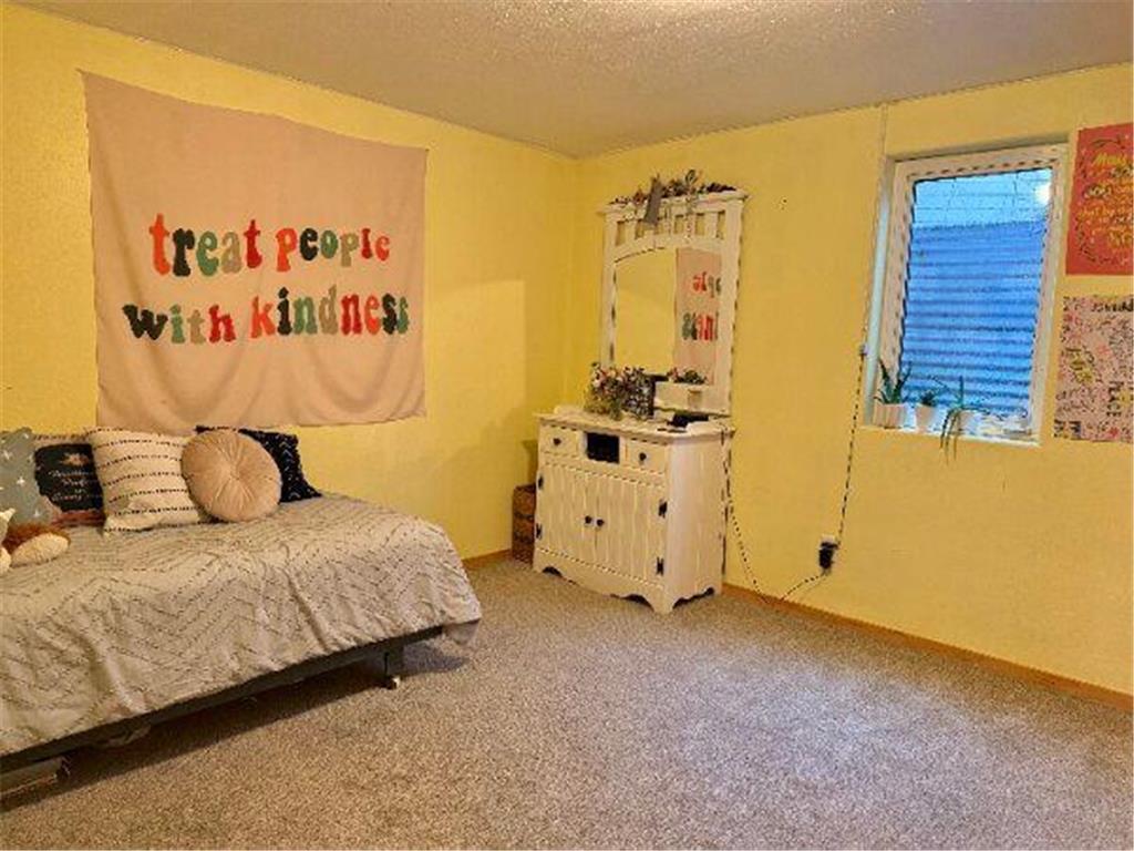 1320 Lori Avenue Detroit Lakes MN 56501 7070983 image23