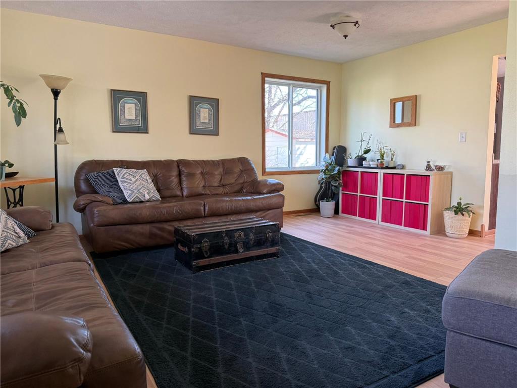 1320 Lori Avenue Detroit Lakes MN 56501 7070983 image9