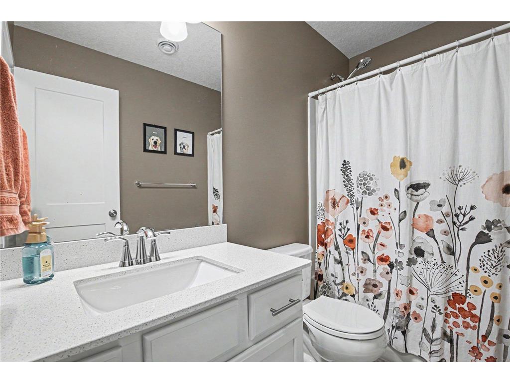 1321 Chestnut Circle Carver MN 55315 7091059 image13
