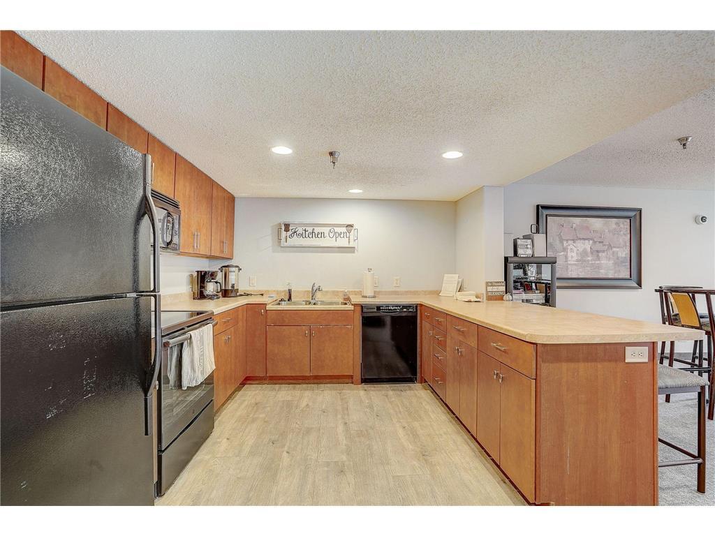 1321 Lake Drive W #111 Chanhassen MN 55317 7066005 image33